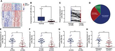 MiR-29b-3p Inhibits Migration and Invasion of Papillary Thyroid Carcinoma by Downregulating COL1A1 and COL5A1